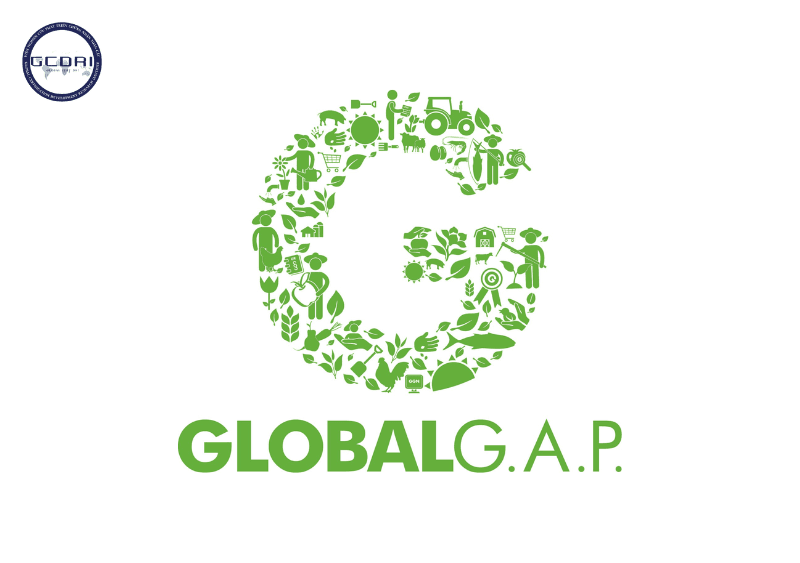 Chứng nhận GLOBAL GAP là gì? Quy trình đạt chứng nhận - Chứng nhận GLOBAL GAP